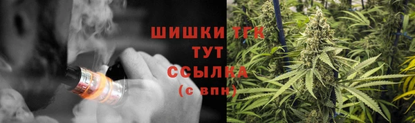 амф Гусь-Хрустальный