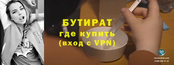 амф Гусь-Хрустальный