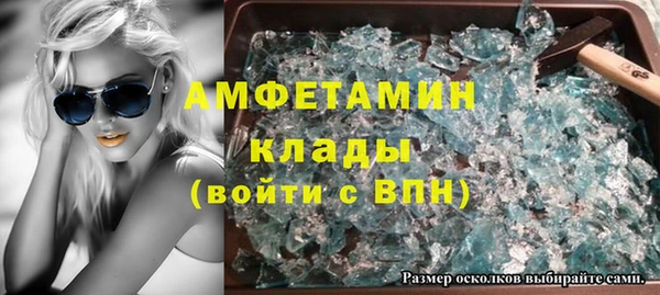 амф Гусь-Хрустальный