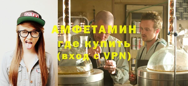 амф Гусь-Хрустальный