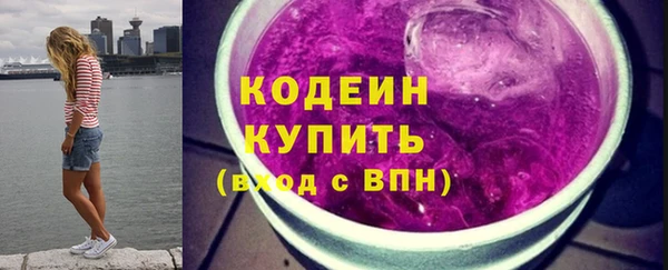 амф Гусь-Хрустальный