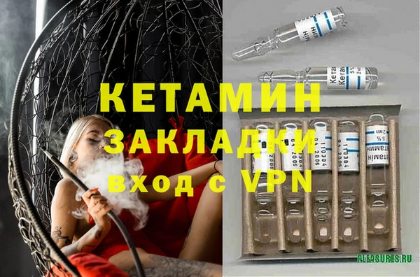 амф Гусь-Хрустальный