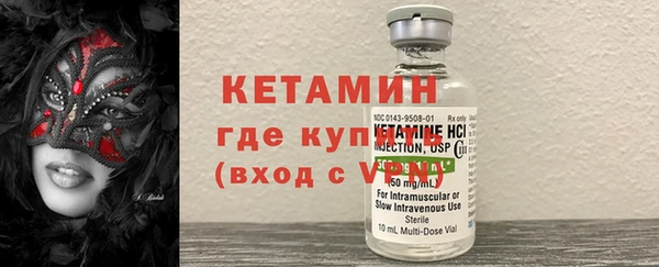 амф Гусь-Хрустальный